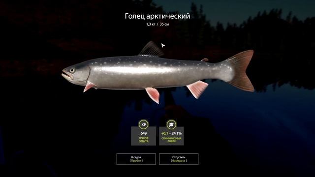 Проверка клева на Троллинг - На Куори - Русская Рыбалка 4 смотреть онлайн