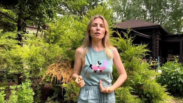 Лайм бодрящий цитрусовый аромат I Свойства эфирных масел doTERRA смотреть онлайн