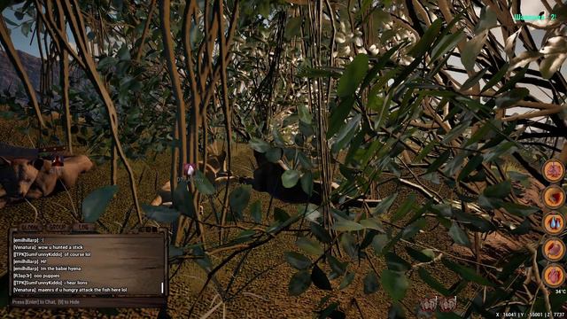 Animalia Survival