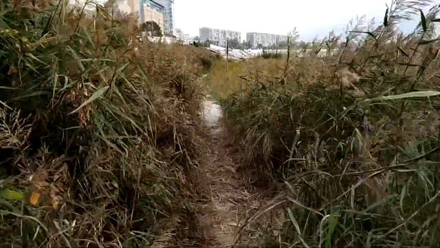 Summer is over. Лето кончилось смотреть онлайн