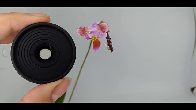 Про удобство моих макро линз. смотреть онлайн