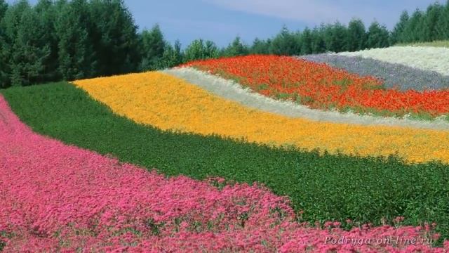 Очень красивая японская музыка Бамбуковая флейта Bamboo flute Podryga on line ru смотреть онлайн