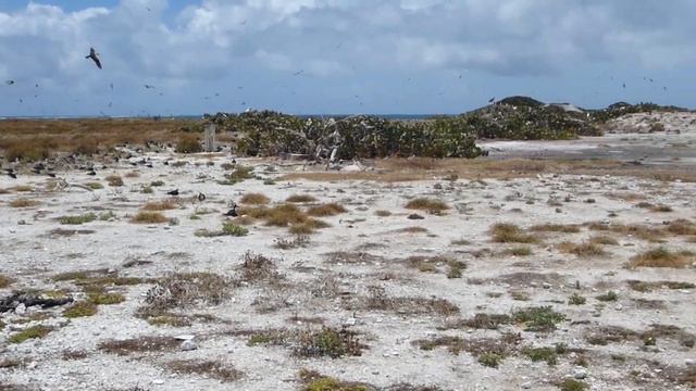North Island, Johnston Atoll смотреть онлайн