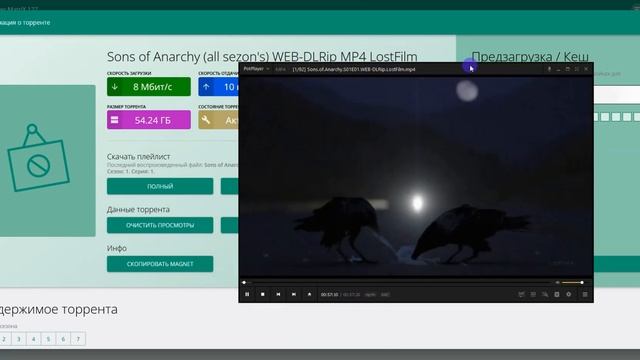 TorrServer Matrix установка на Synology.DS923+ AMD Xpenology смотреть онлайн