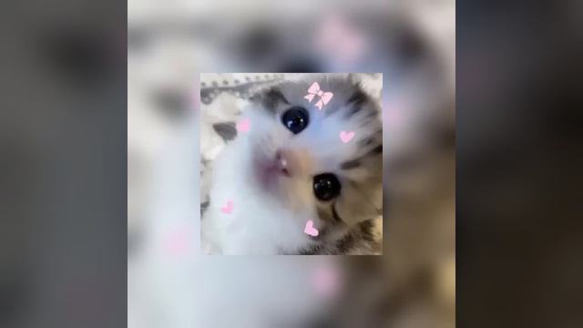 сердце пылает, горит для тебя - speed up смотреть онлайн