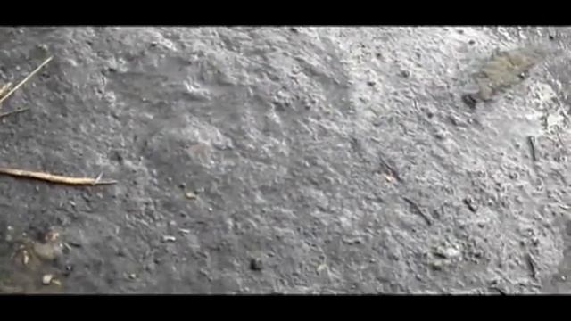 Присадки осадок деньужаса 2~ смотреть онлайн