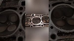 сизый дым из выхлопной!!!