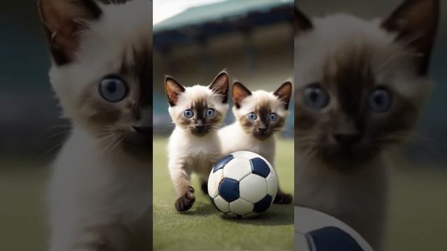 Котёнок ✝️ 42 смотреть онлайн