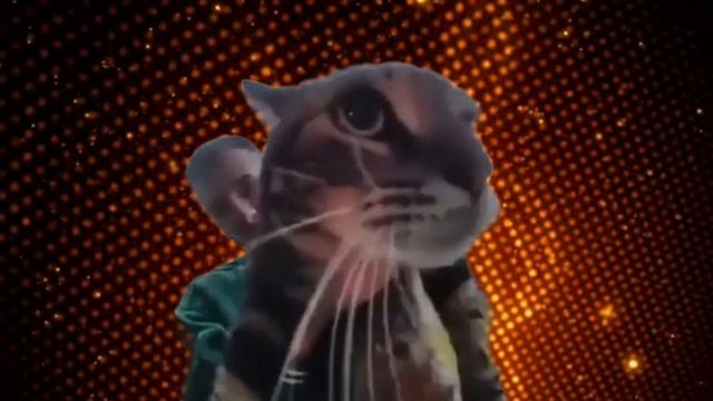 КОТ МЯУКАЕТ В КАМЕРУ & LOLI MOU(mashup)