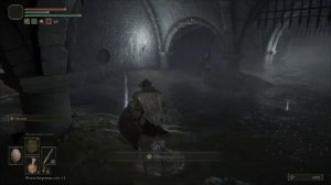 Elden ring - катакомбы колосажателя