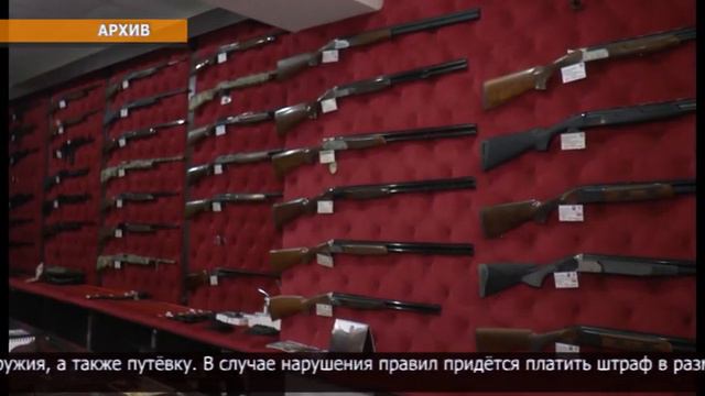 В СК начался сезон охоты на водоплавающую птицу смотреть онлайн