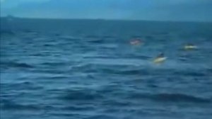 Супер прыжки огромных китов