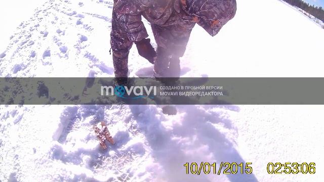 рыбалка в коми весна 2018