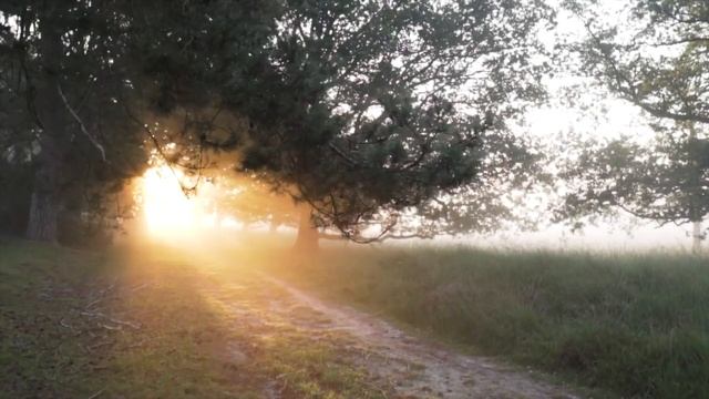 AUM - Mantra - SON PRIMORDIAL (432 Hz) смотреть онлайн