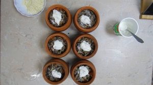 #Еда_диабетика_тип2. МЯСО в Горшочках с овощами. Просто и обалденно вкусно.