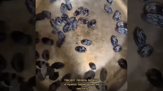 Лайфхак для здоровья Древний натуральный рецепт с изюмом для очистки печени Как почистить печень по смотреть онлайн