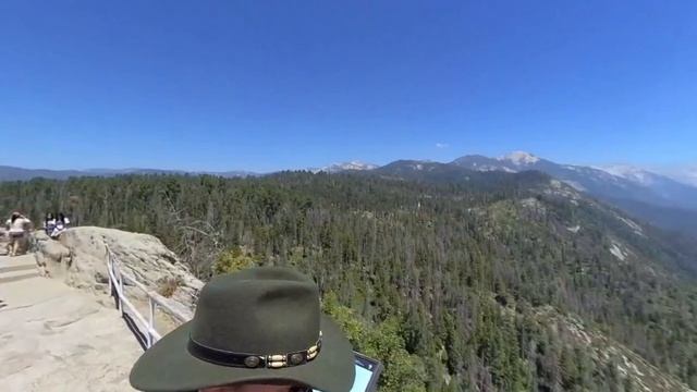 Sequoia forest 360 trip смотреть онлайн