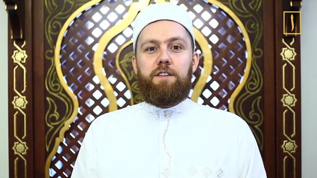 Нух и Потоп / Пророческие истории для детей / Хайдар Булгари / смотреть онлайн