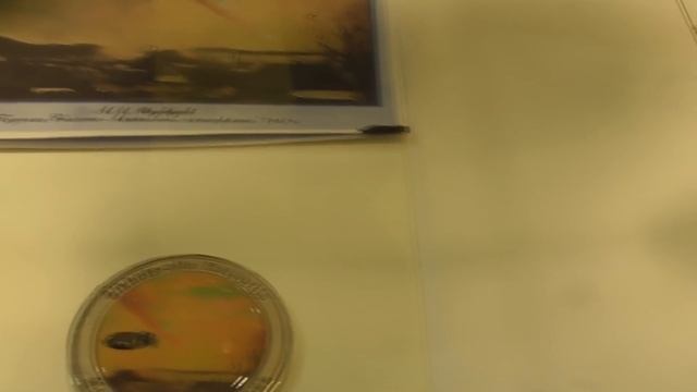 Минерал-шоу. Тулит. Симбирцит. Метеориты. Лунный камень смотреть онлайн