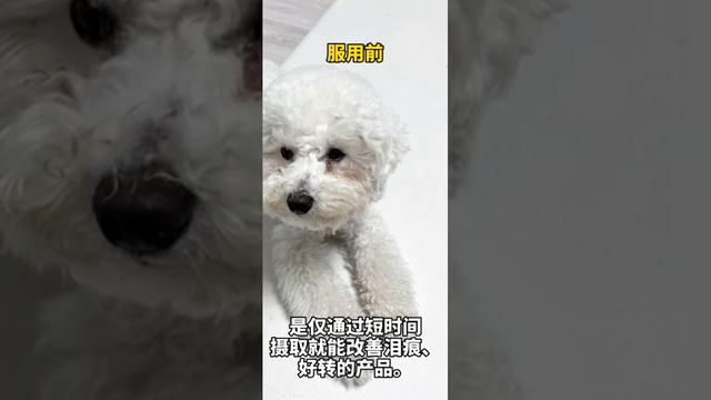중국어 눈물싹싹 смотреть онлайн
