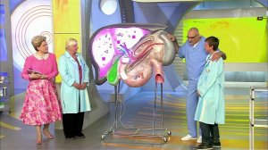 Жить здорово! Выпуск от 13.08.2013