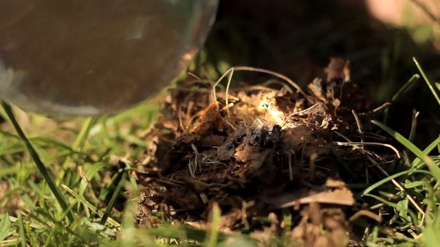 Огонь без СПИЧЕК (Выживание #2)