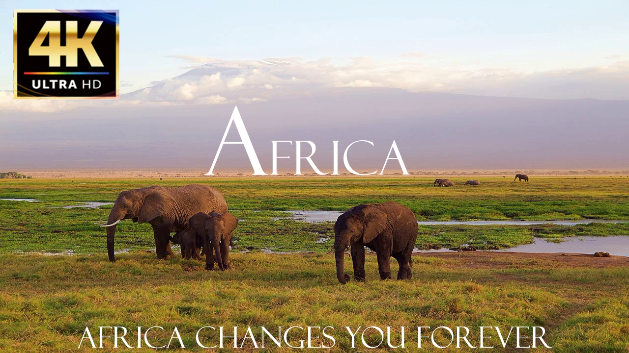 Африка смотреть онлайн