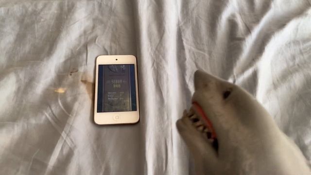 SB Movie: Shark Puppet plays Temple Run! смотреть онлайн