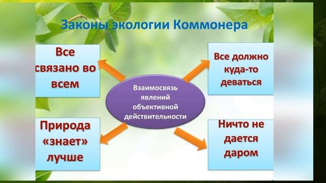 Экологический урок «Земля - наш общий дом» смотреть онлайн