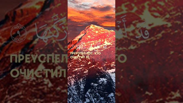 красивое чтение Корана 💚 чтец: Люхайдан #quran #islam #allah #sunna #ihlas #astaghfirullah #readin смотреть онлайн