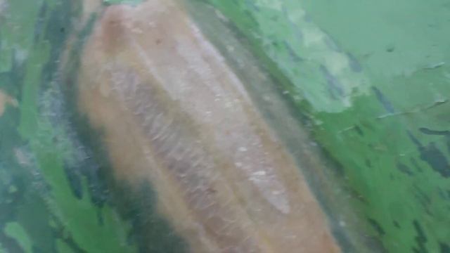 Шпаклевка первый блин комом - БРАК смотреть онлайн