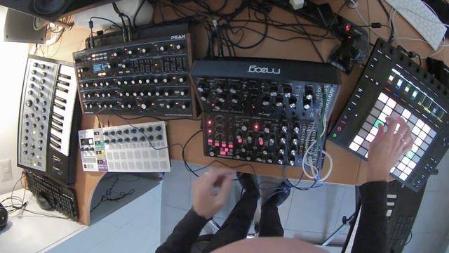 Do digital synths dream of analogue filters? (Short version) смотреть онлайн