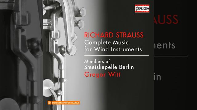Sonatina No. 2 in E-Flat Major, TrV 291 "Fröhliche Werkstatt": II. Andantino, sehr gemächlich... смотреть онлайн