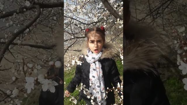 Анисия читает, Э.Асадов"Дорожите счастьем" смотреть онлайн