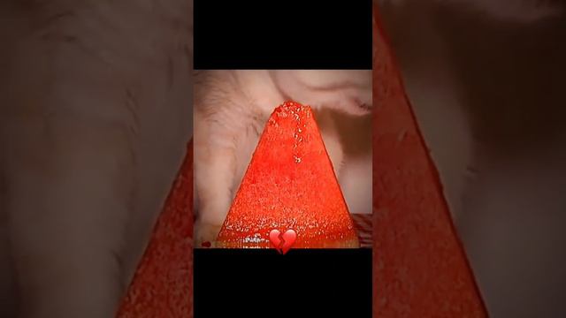 Котенок наелся арбуза 🍉🍉🍉🍉 смотреть онлайн