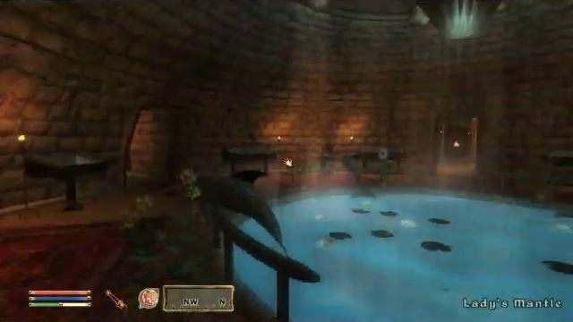 Oblivion "Bravil Sea Domes" Mod смотреть онлайн