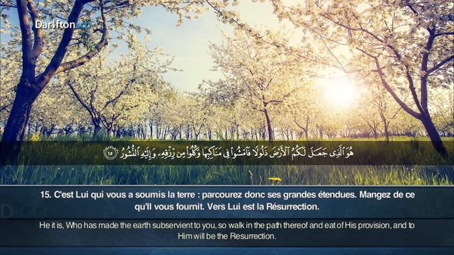 Sourate Al-Mulk - Muhammad Al-Muqit سورة الملك محمد المقيط смотреть онлайн