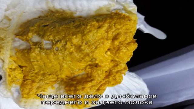 Причины зеленого стула у новорожденных на грудном или искусственном вскармливании смотреть онлайн