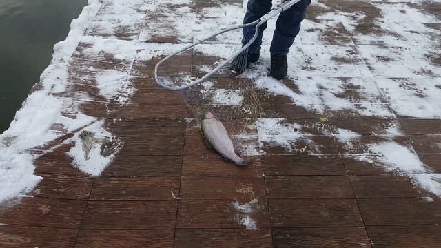 Фора по открытой воде 25.11 смотреть онлайн