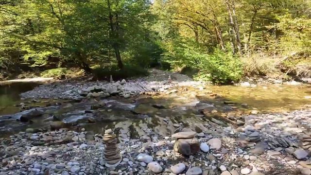 Fairy forest(Где то в лесу). смотреть онлайн