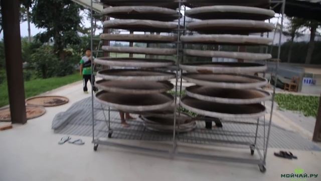 Тайвань. Завод по производству чая улун, Тайдун. Taiwan. Oolong Tea Factory, Taitung.