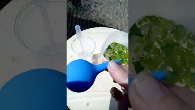 Сопли у гусенка.Как лечить? смотреть онлайн