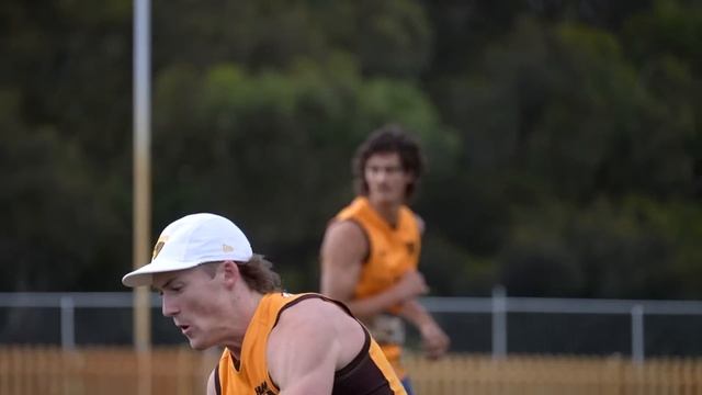 Hawthorn's Draftee REPORT CARD: Who's Pushing For Round 1? смотреть онлайн