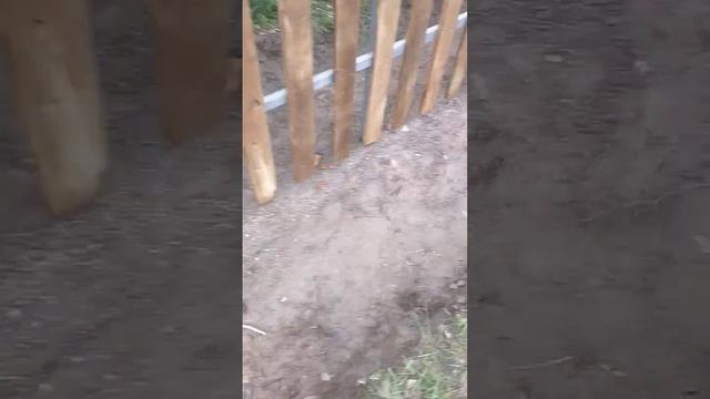 Забор дачный смотреть онлайн