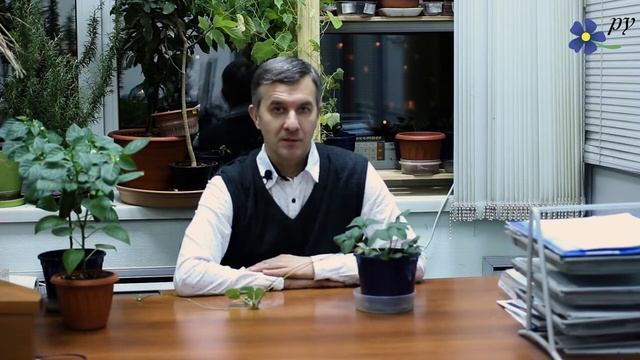 Земляника Пайнберри зимой. Зачем мне это нужно? смотреть онлайн