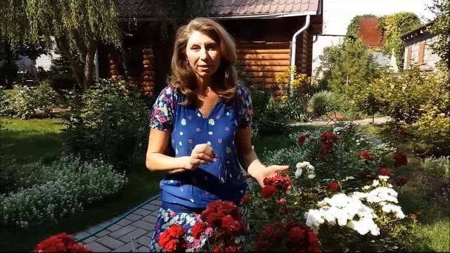 Строительные Палитры