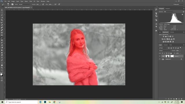 Amber Damour Photography