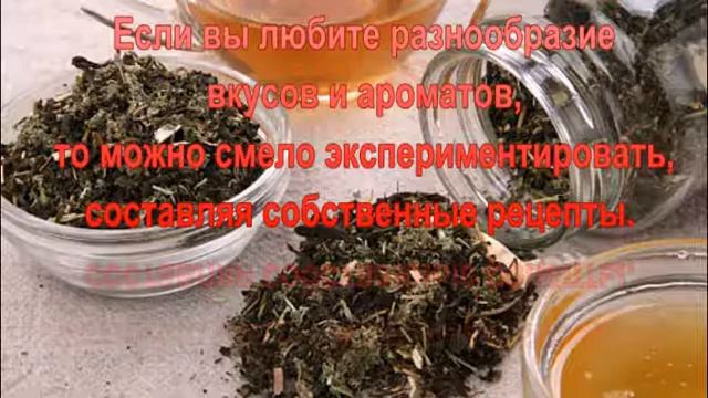 Какие травы допускается употреблять вместо чая. смотреть онлайн