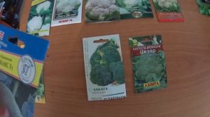 БРОККОЛИ И ЦВЕТНАЯ КАПУСТА, обзор семян и способы посева на рассаду.