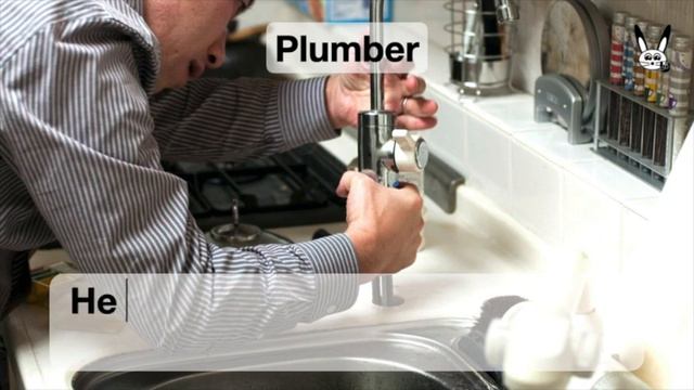 Jobs and Occupations Vocabulary with Sentences - What do they do? смотреть онлайн